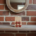 Ex-Fire Hose - Double-Star Earrings